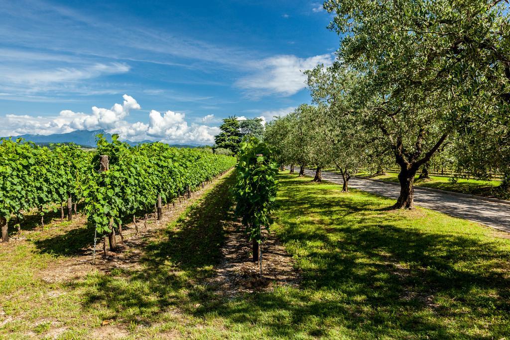 Quercia Belvedere Relais 바르돌리노 외부 사진